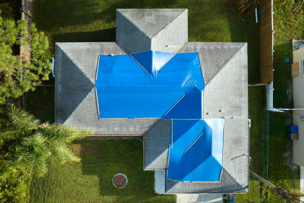 Best Roof Maintenance and Cleaning  in Ellisville, MO